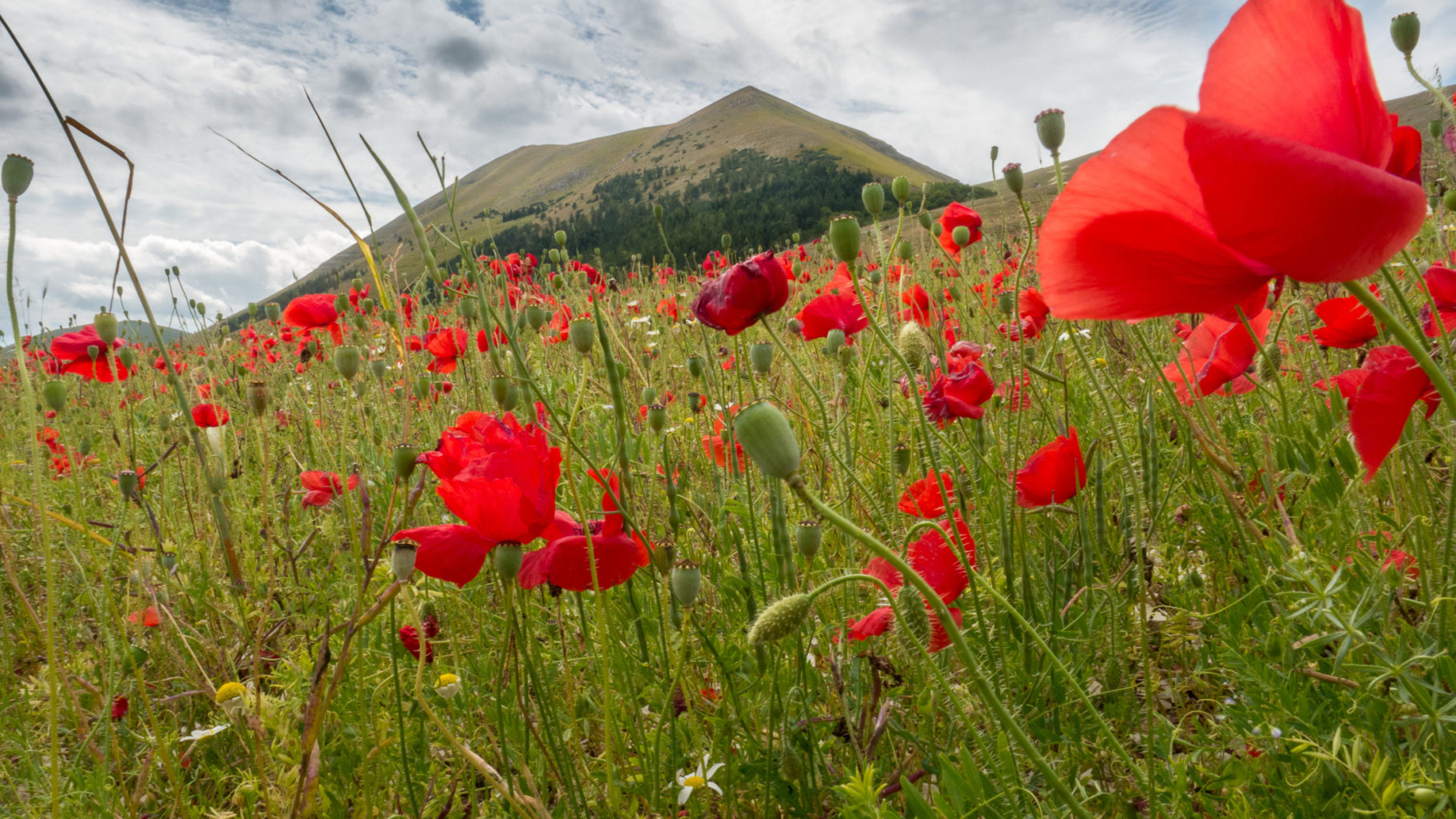 Piano Grande, Abruzzo