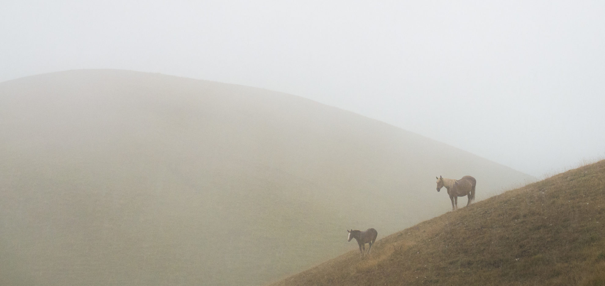 Piano Grande, Abruzzo