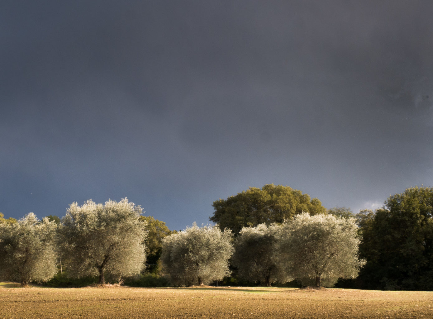 Val d'Orcia, Tuscany