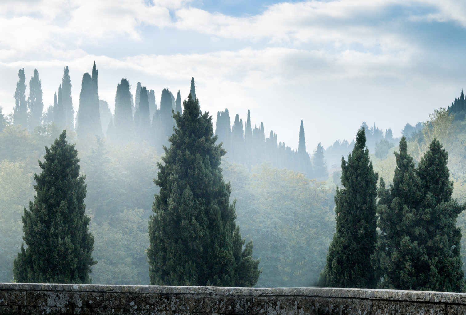Montepulciano, Toscana, 2014